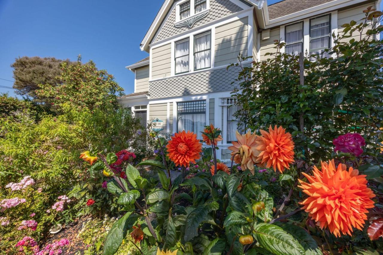 Nantucket Penthouse - Walk To Restaurants Beaches Activies & So Much More Half Moon Bay Extérieur photo